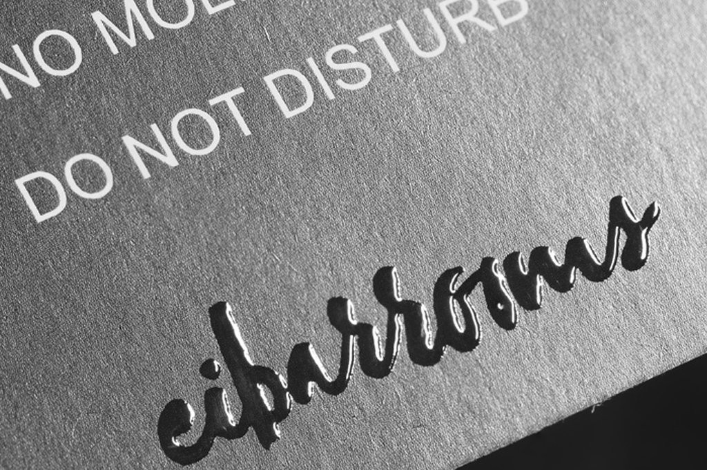 Eibarrooms Auto Check In主图