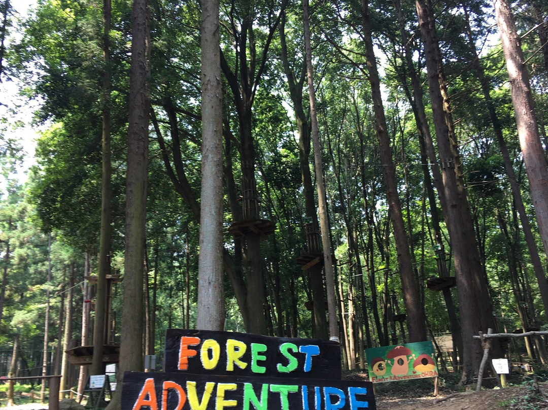 Forest Adventure Ohira-栃木市必去景点
