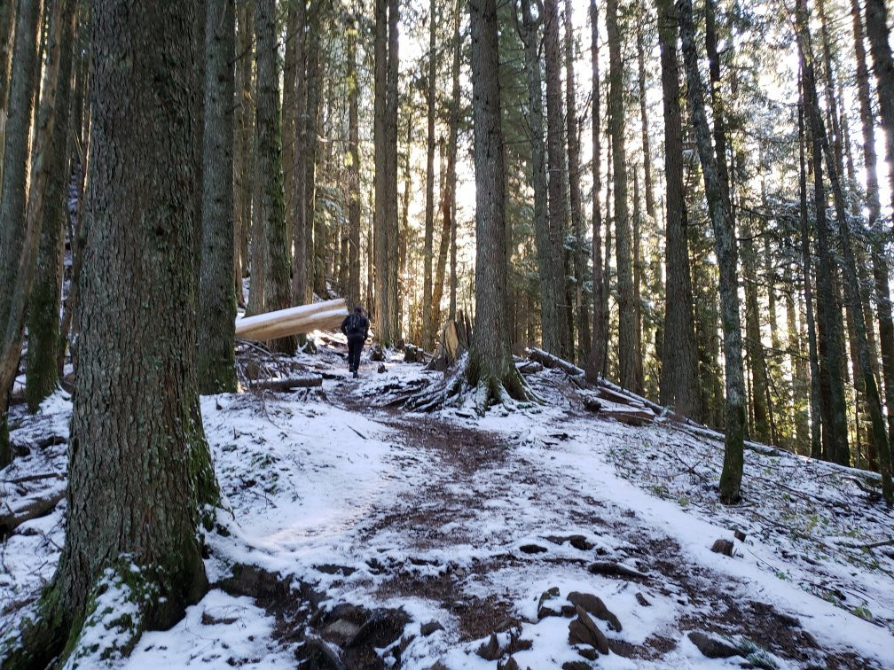 Elk Mountain Hiking Trail景点图片