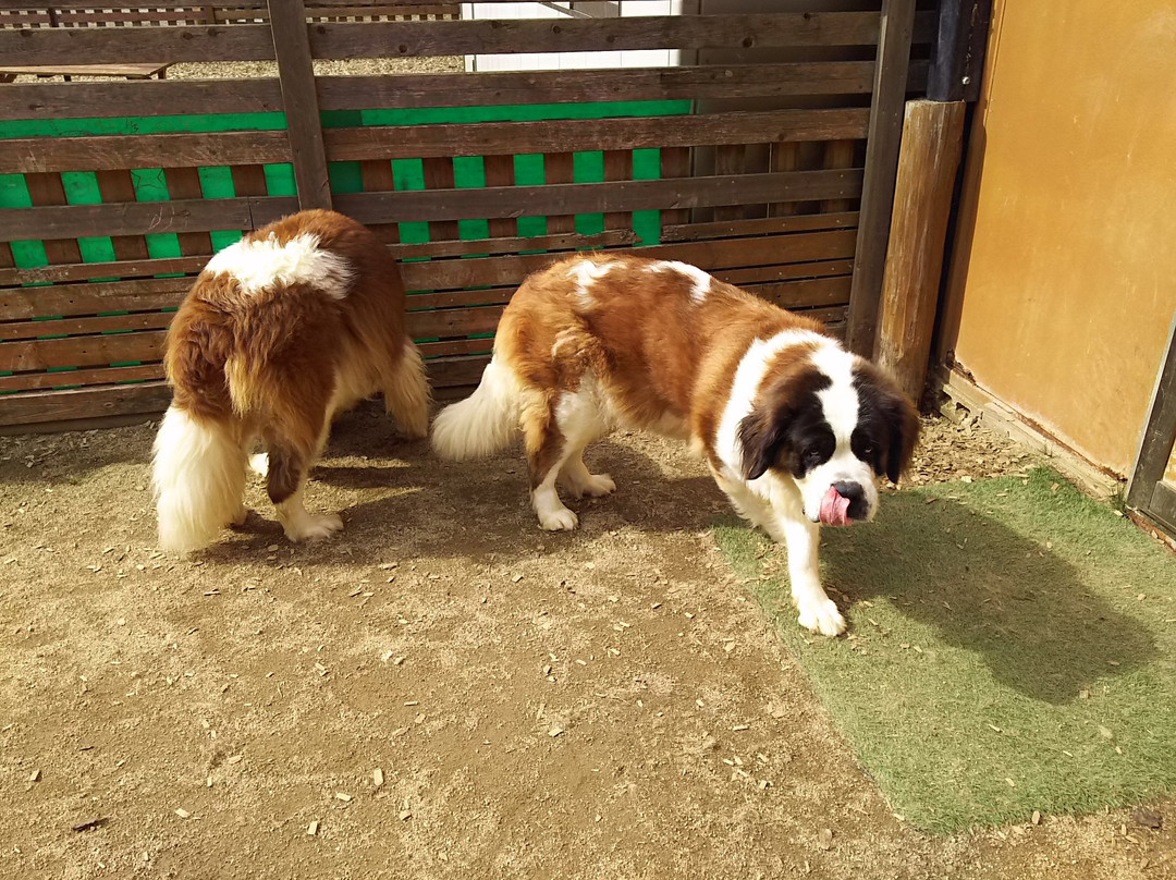 Nasu Ohkun Fureai Ranch-那须町必去景点