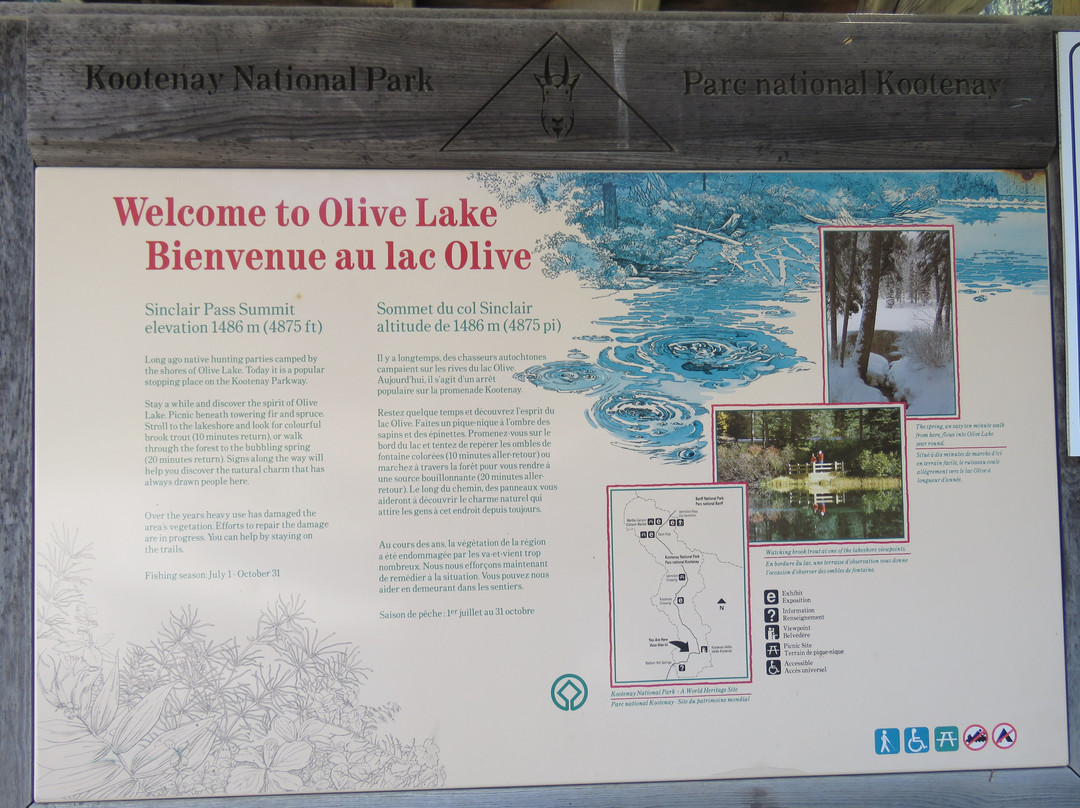 Olive Lake景点图片