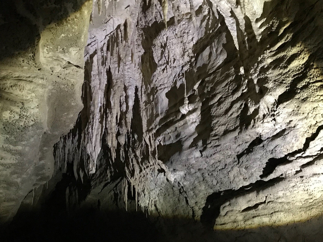 洞穴世界-怀托摩洞穴必去景点