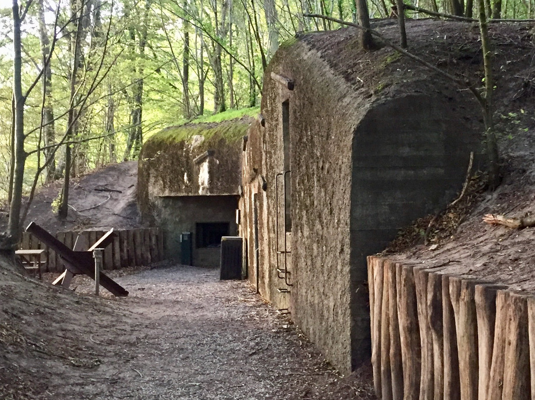 Skanderborg Bunkerne景点图片
