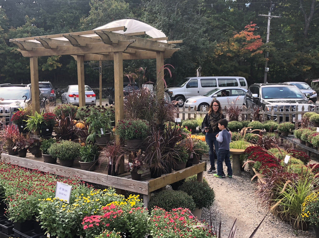 Allandale Farm-布鲁克莱恩必去景点