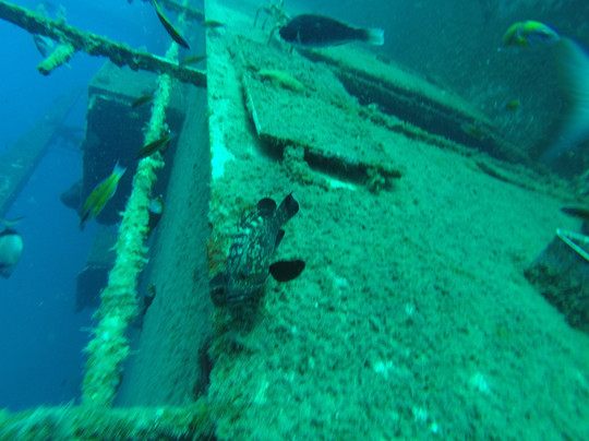 Zenobia Divers-拉纳加必去景点