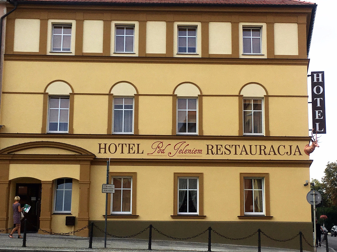 Hotel Pod Jeleniem主图