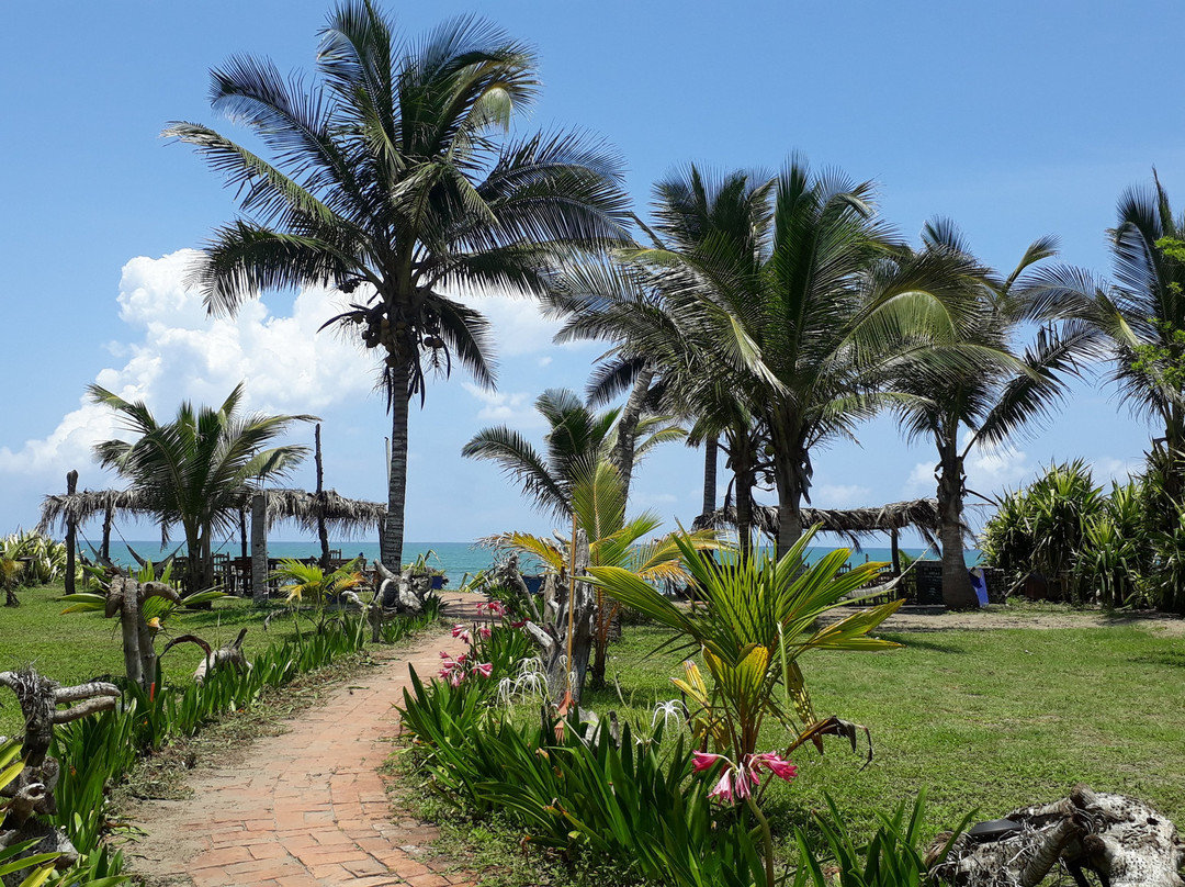 Hotel Coco Loco主图