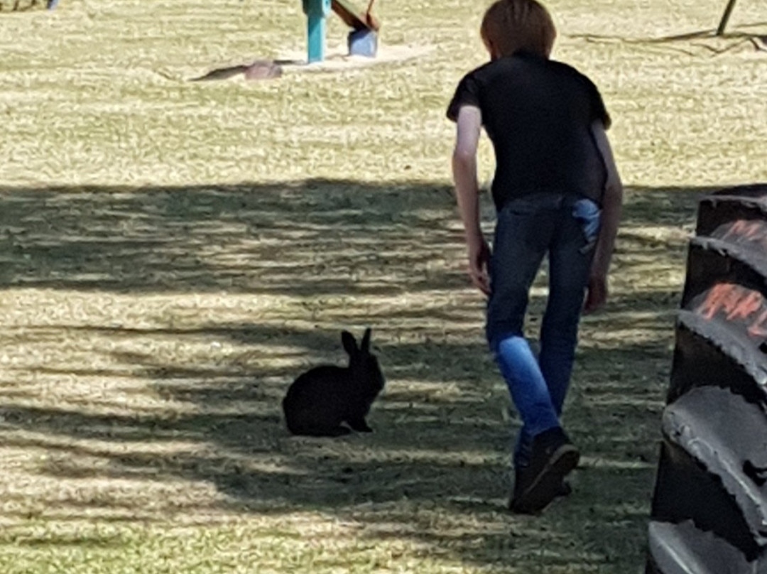 Bokkie Park景点图片