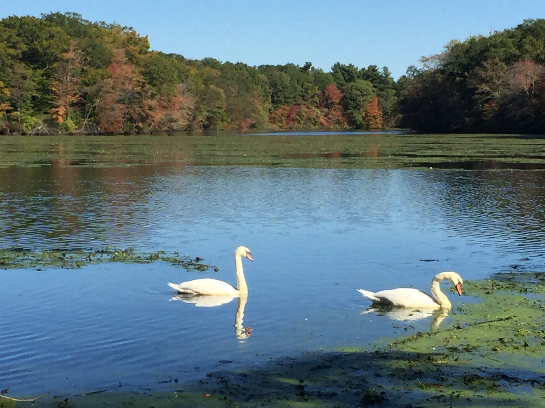 Slater Memorial Park-Pawtucket必去景点