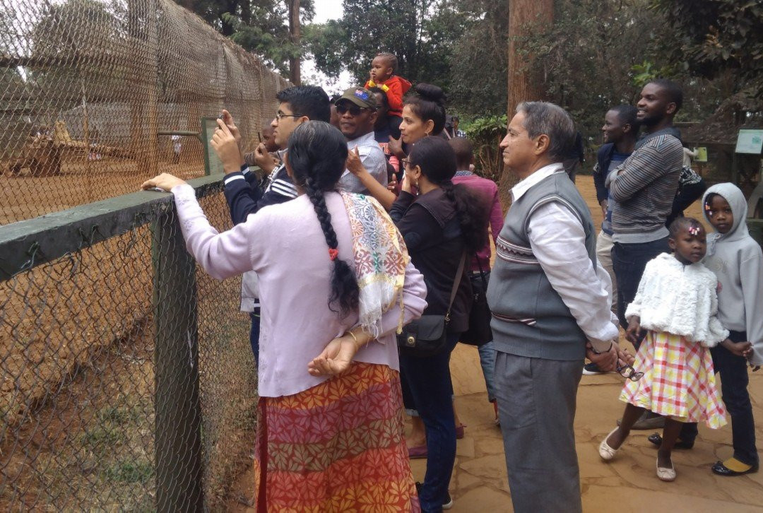 Leo Africa Safaris-内罗毕必去景点