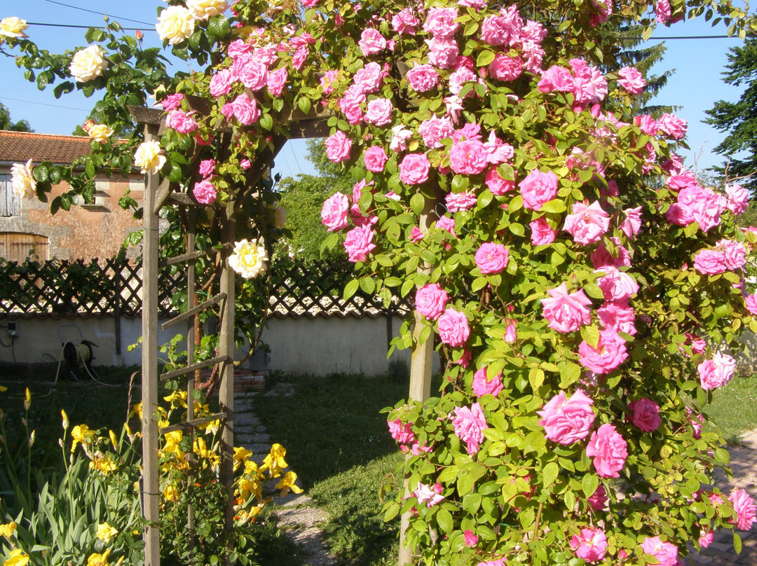 Chambres D'hotes Les Denias主图