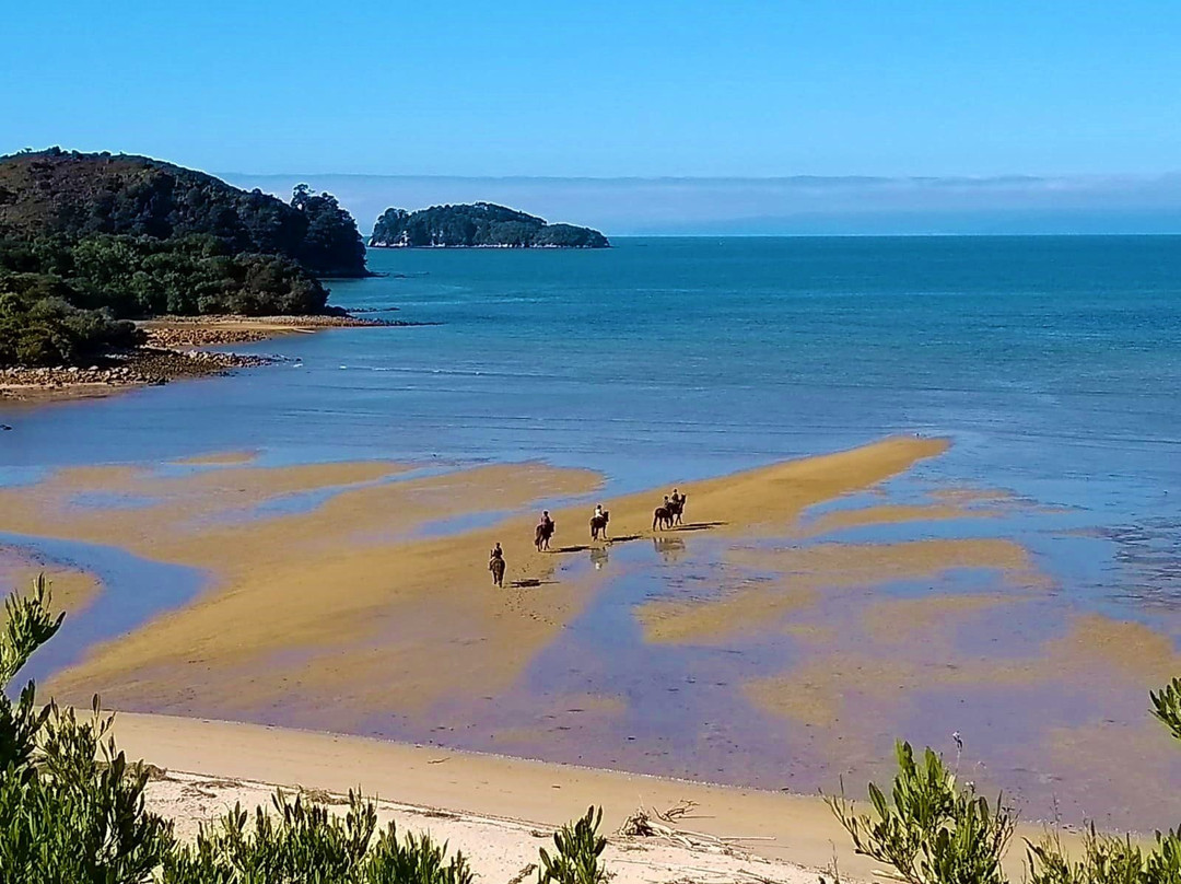 Abel Tasman Horse Trekking景点图片