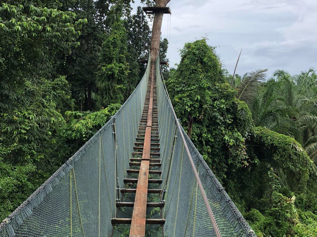 Tree Top Adventure Park Krabi景点图片