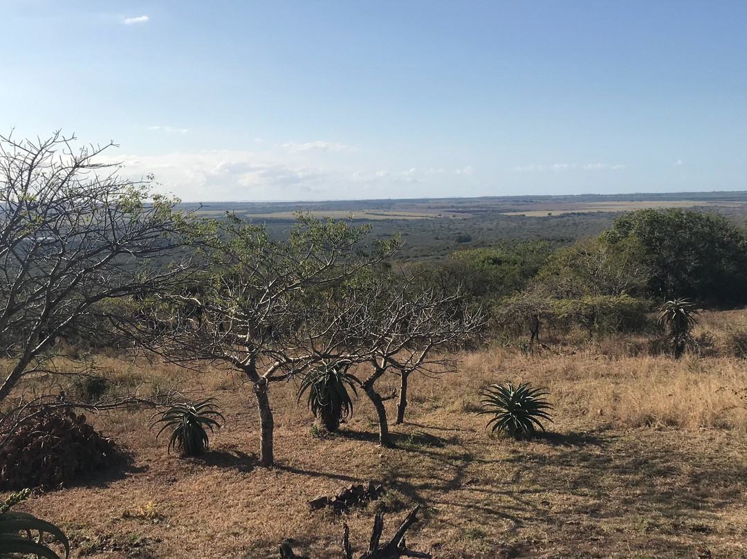 Aloe View Rock Lodge主图