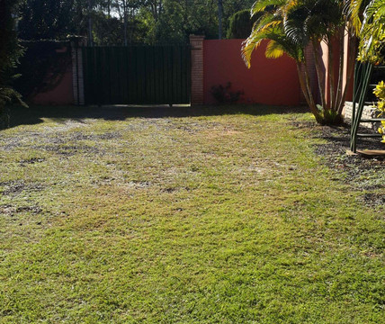 Dolly Palace Hotel主图