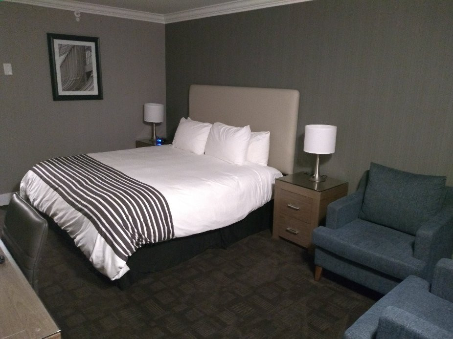 Sandman Hotel Langley主图