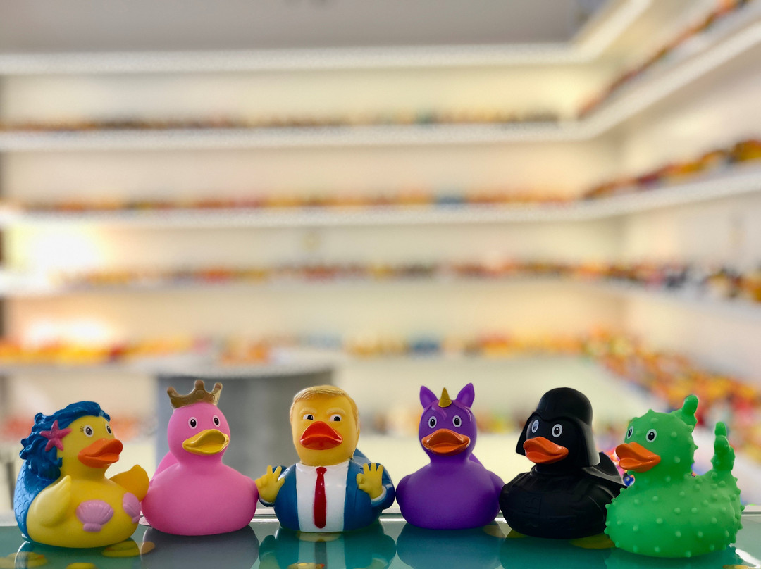 Limassol Duck Store-利马索尔必去景点