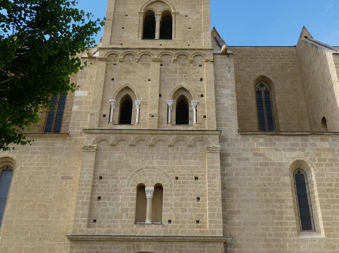 Église Saint-Laurent De Salon-de-Provence景点图片