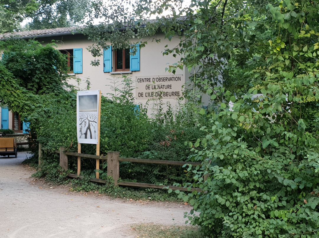 Tupin-et-Semons旅游攻略图片