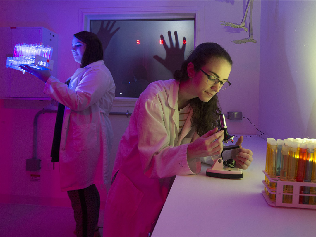 Project Escape-玛丽埃塔必去景点