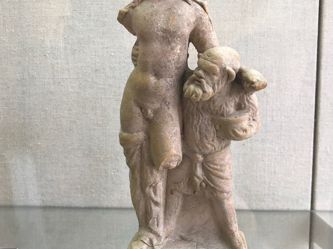 Akademische Museum-波恩必去景点