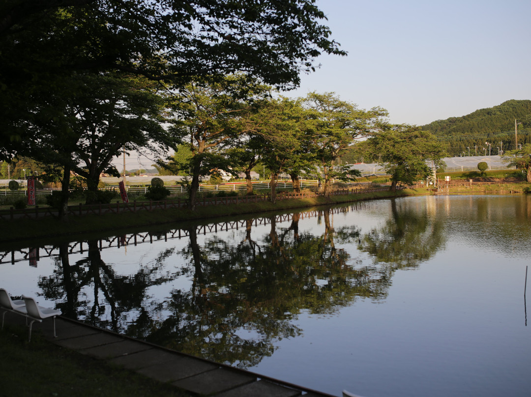 Kanuma Nishikigoi Park景点图片