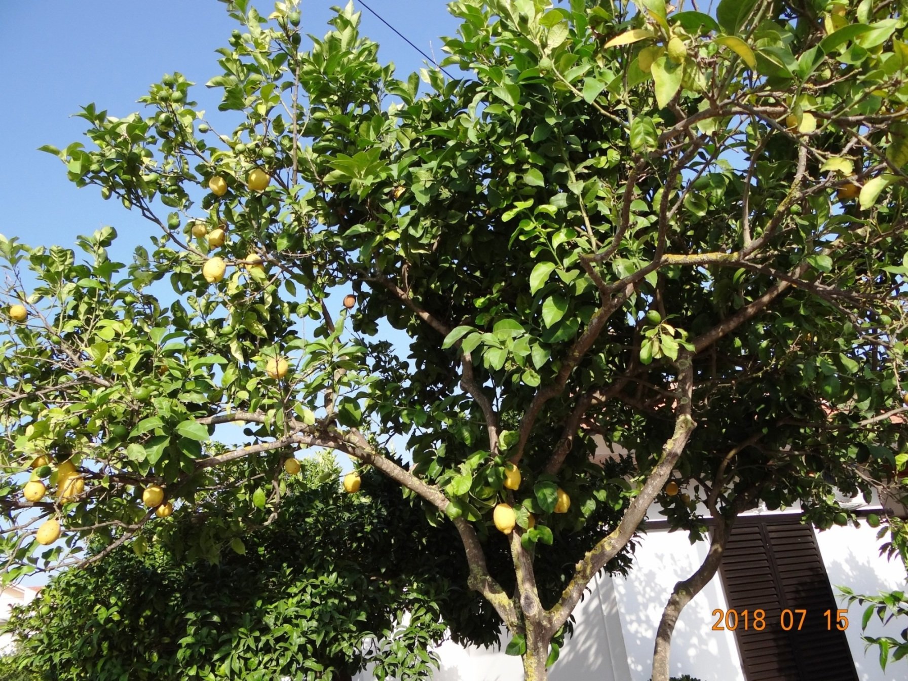 Panorama Hotel-酒店景观