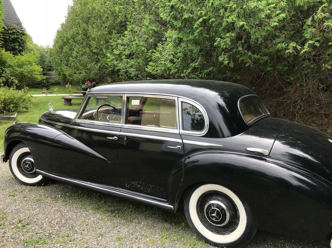 Oppenheimer-Prager Museum at Dayspring-Saint Andrews必去景点