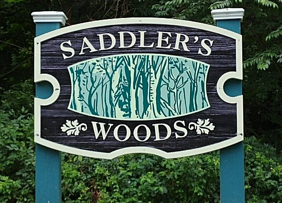 Saddler's Woods Conservation Association景点图片