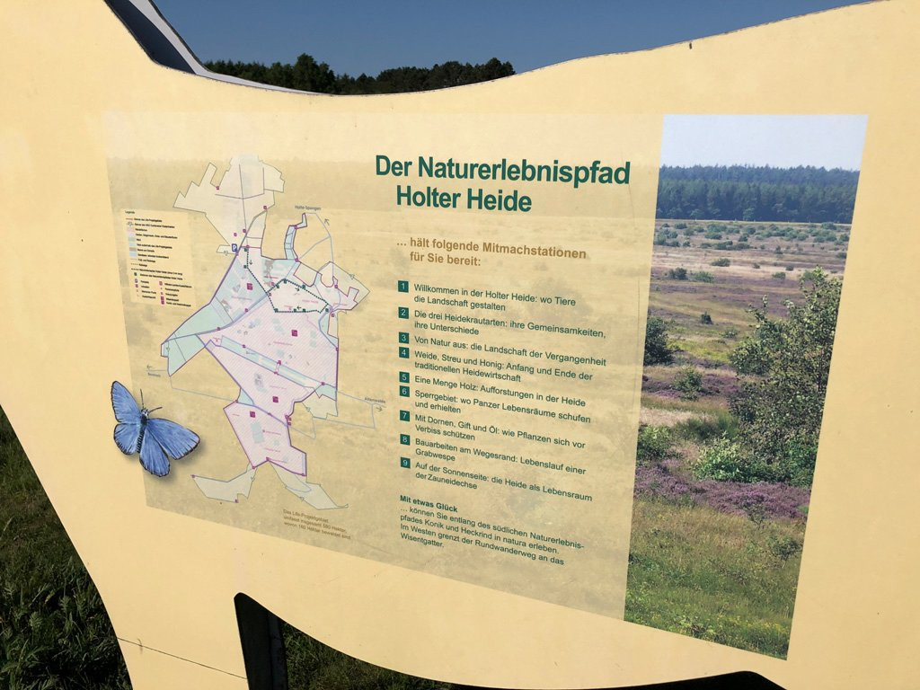 Cuxhavener Kuestenheide-库克斯港县必去景点