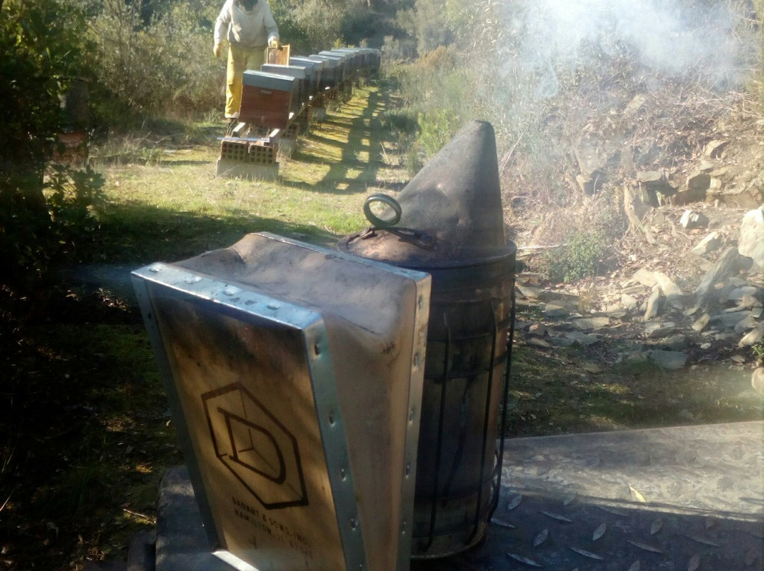 Apibericos,professional beekeepers景点图片