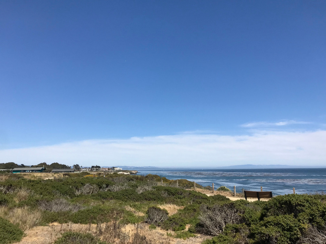 Santa Cruz Museum of Natural History-圣克鲁斯必去景点