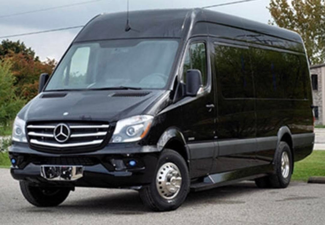 Luxe Limo Service景点图片