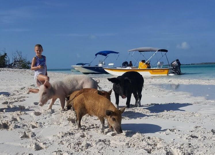Long Island Boat Rentals-长岛必去景点