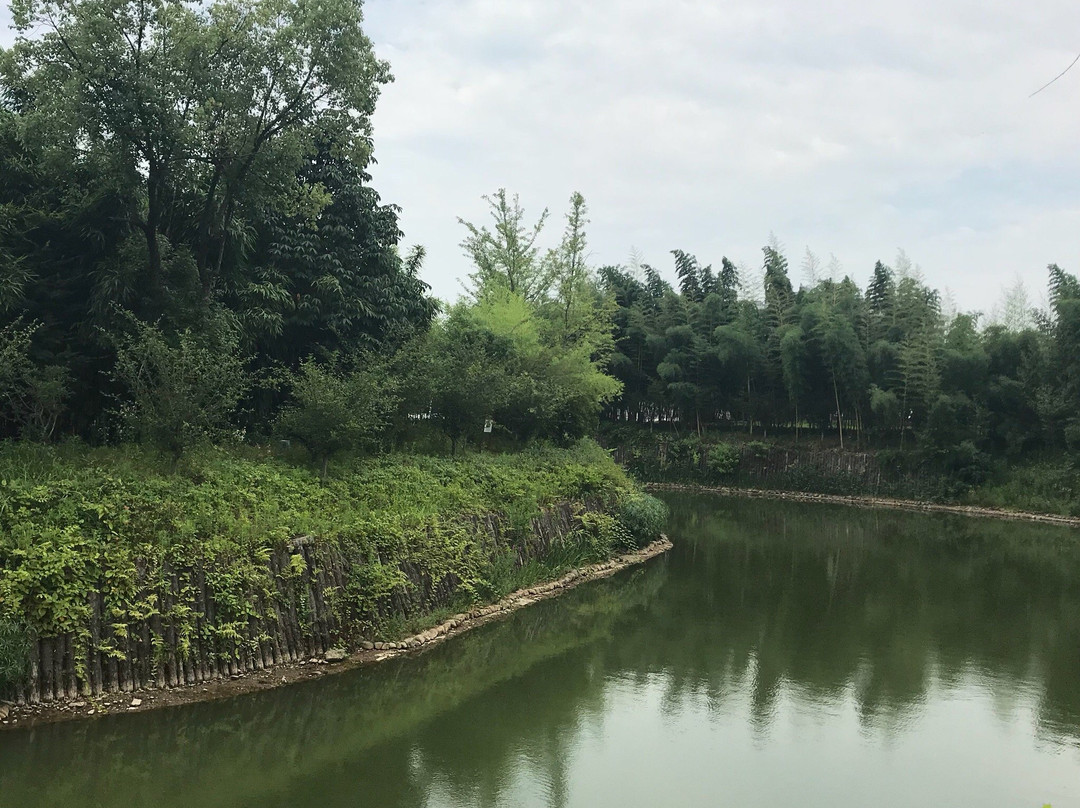 竹博园-安吉县必去景点