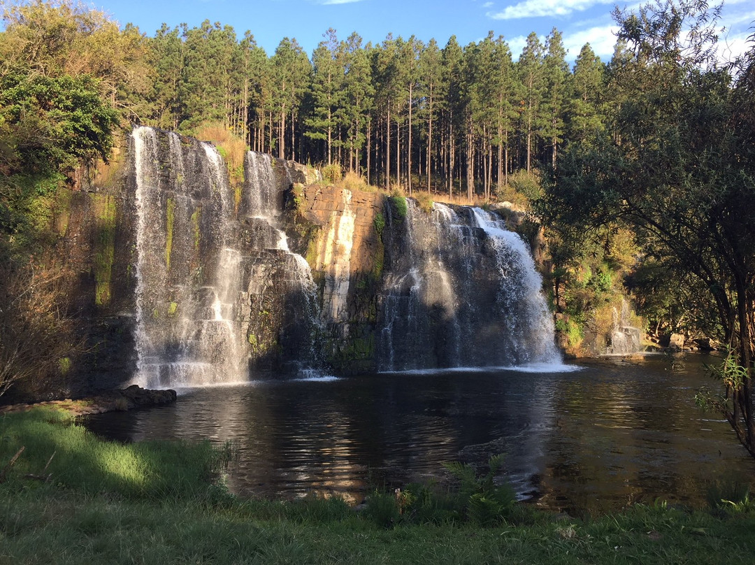 Forest Falls Nature Walk-沙比必去景点