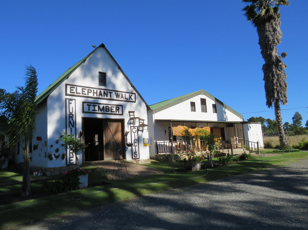 Wittedrift旅游景点-Elephant Walk Farm Stall