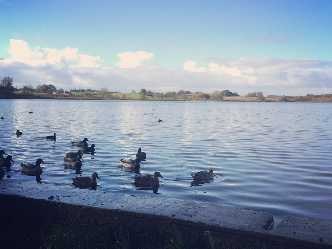 Pickmere Lake-纳茨福德必去景点