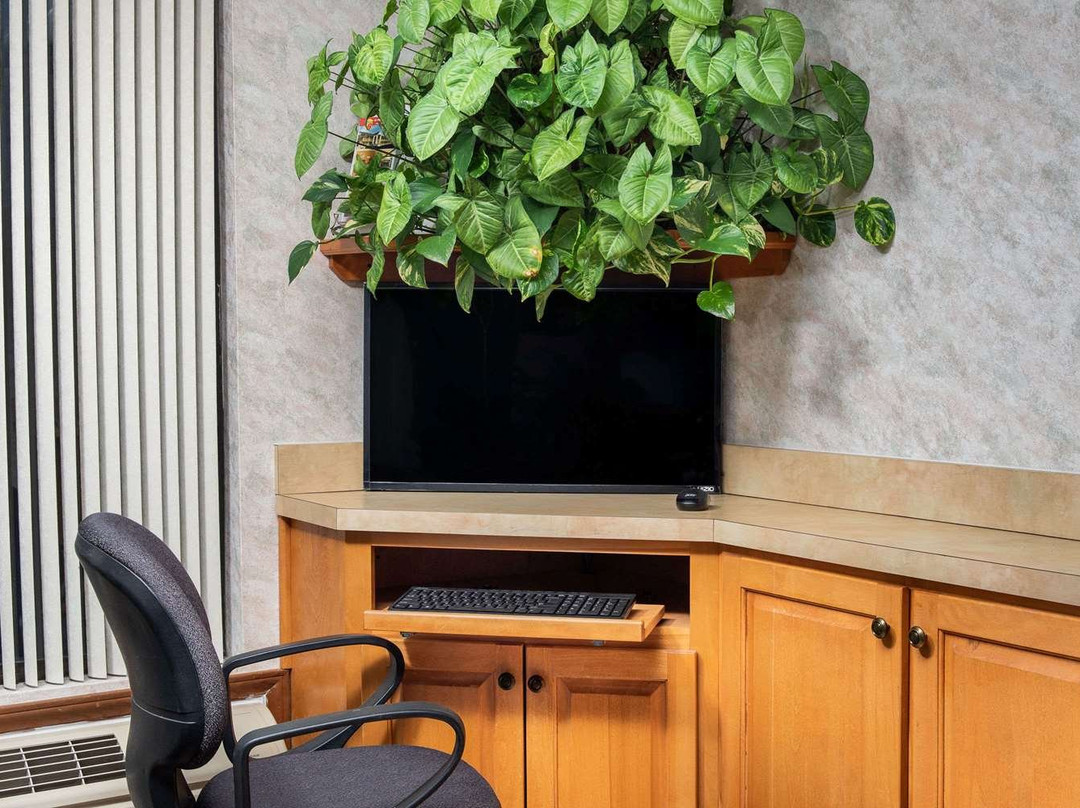 伯灵顿速8酒店主图