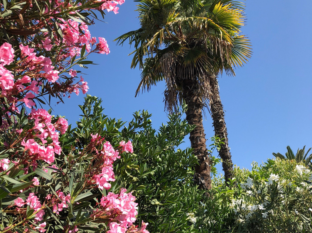 99 Palms Inn & Suites主图