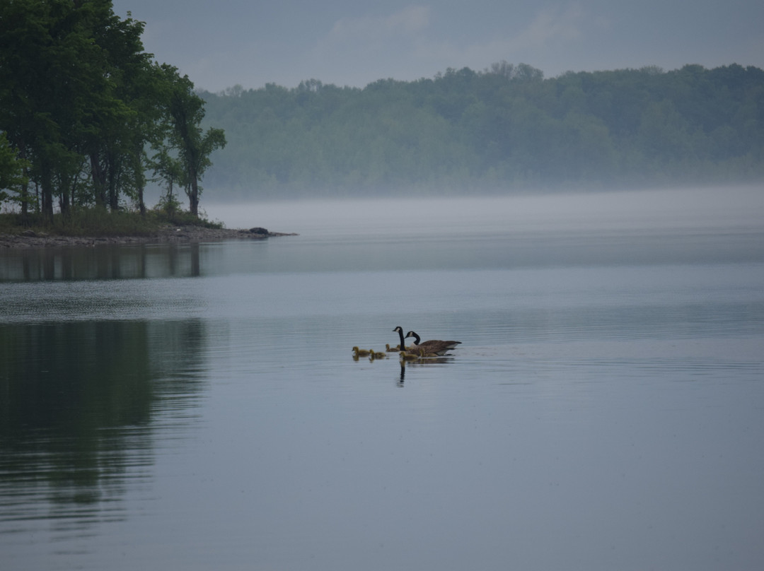 Waterfront Trail-康沃尔必去景点