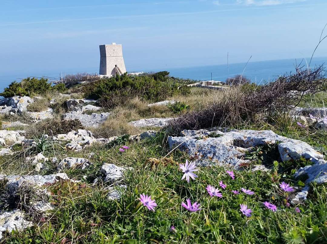 Torre di Porticello景点图片