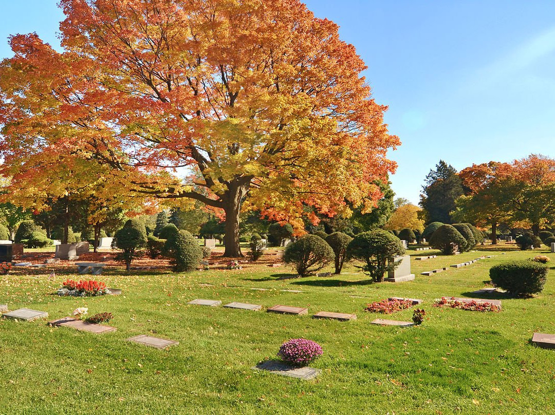 Memorial Park Cemetery景点图片