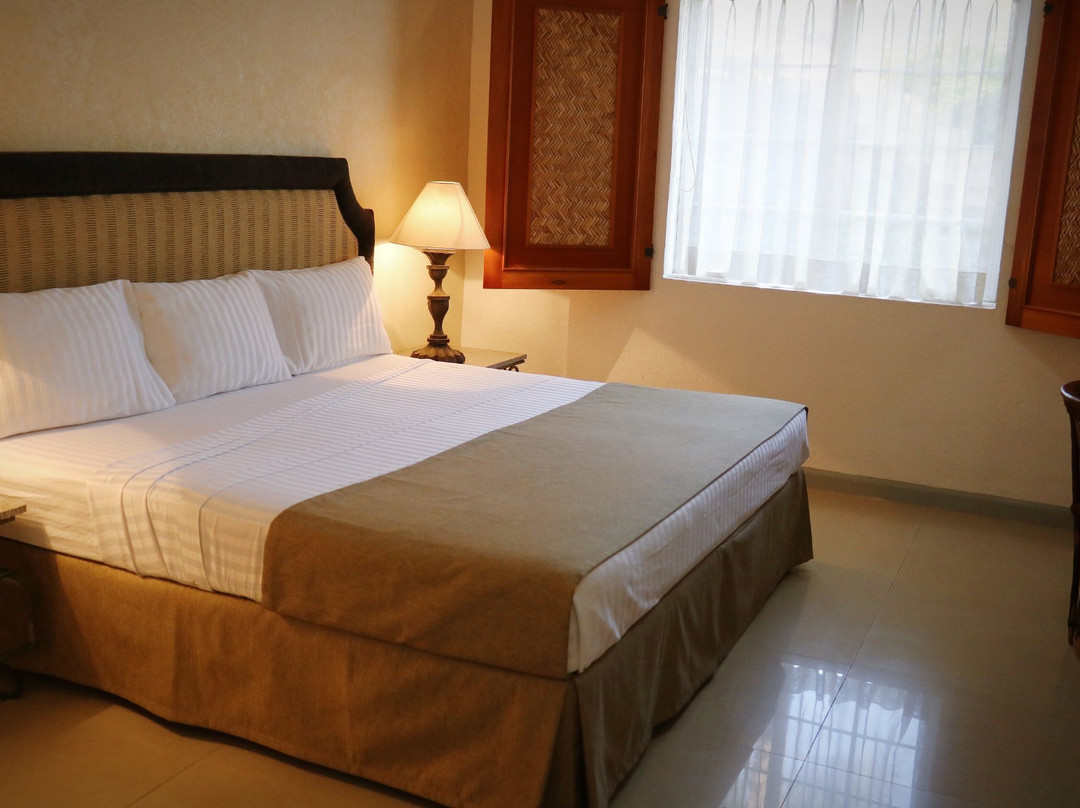 Hotel Zar Colima主图