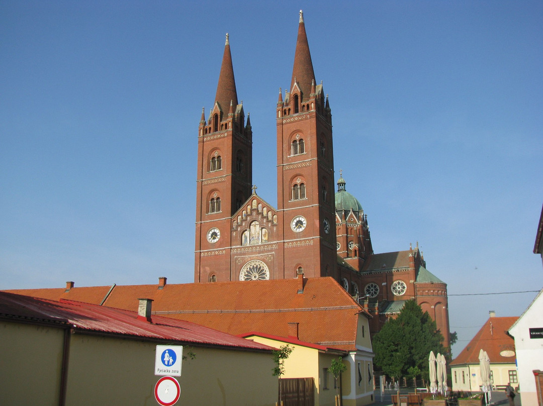 Dakovo Cathedral景点图片