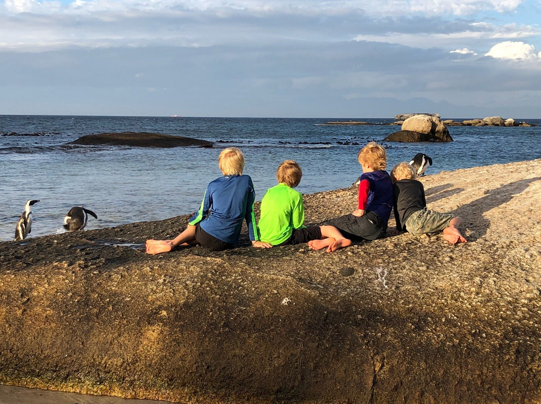 Shark Warrior Adventures-西门镇必去景点