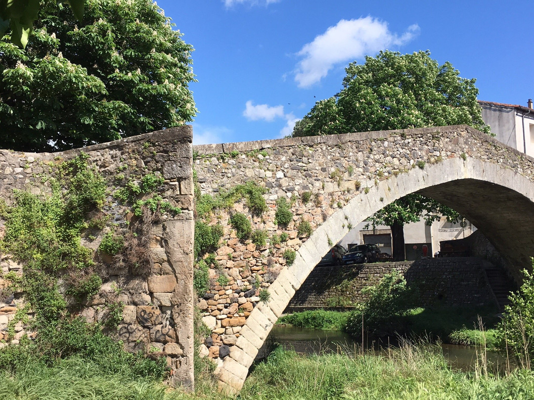 Pont de Montifort-洛代沃必去景点