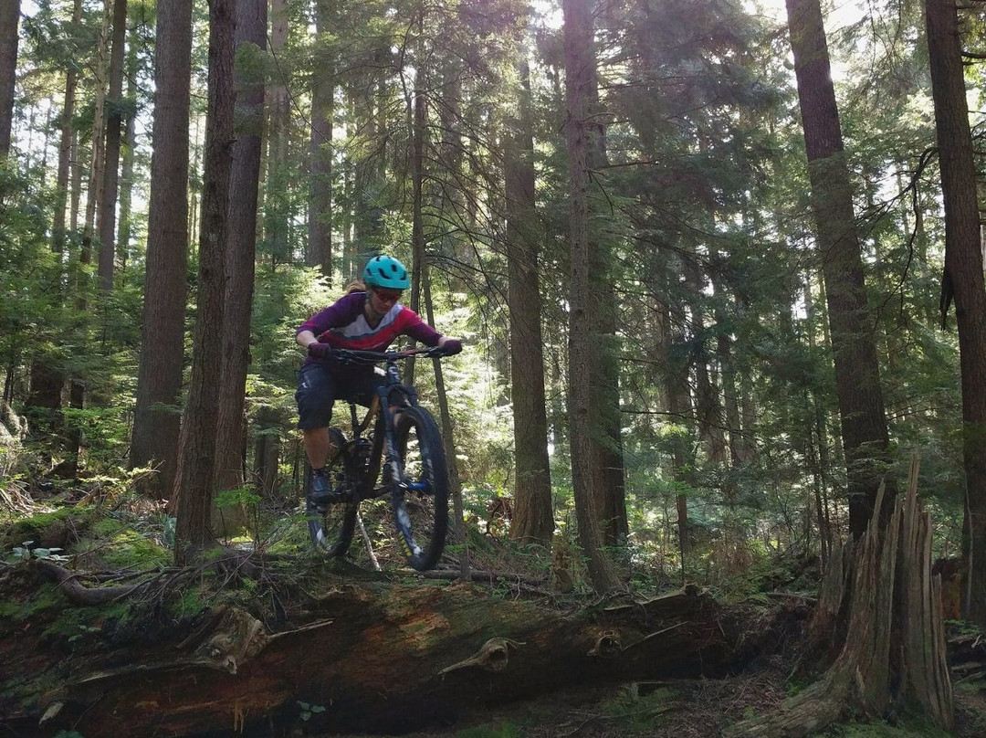 Essential Cycles-北温哥华必去景点