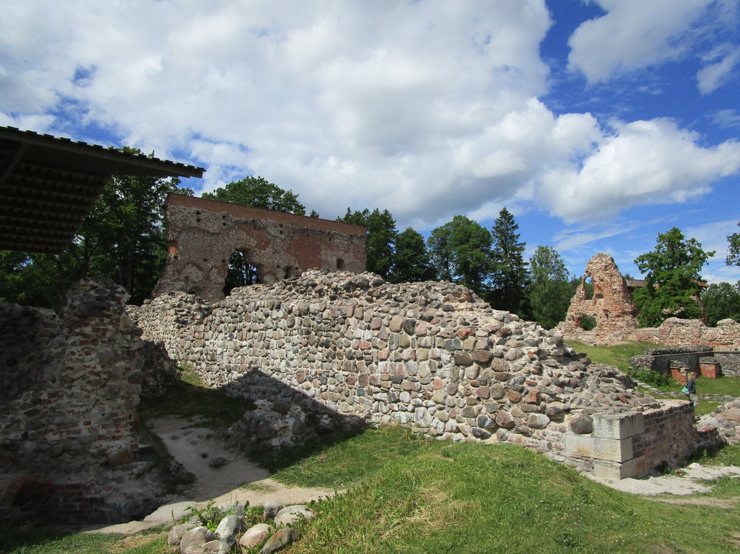 Ruins of the Viljandi Order Castle景点图片