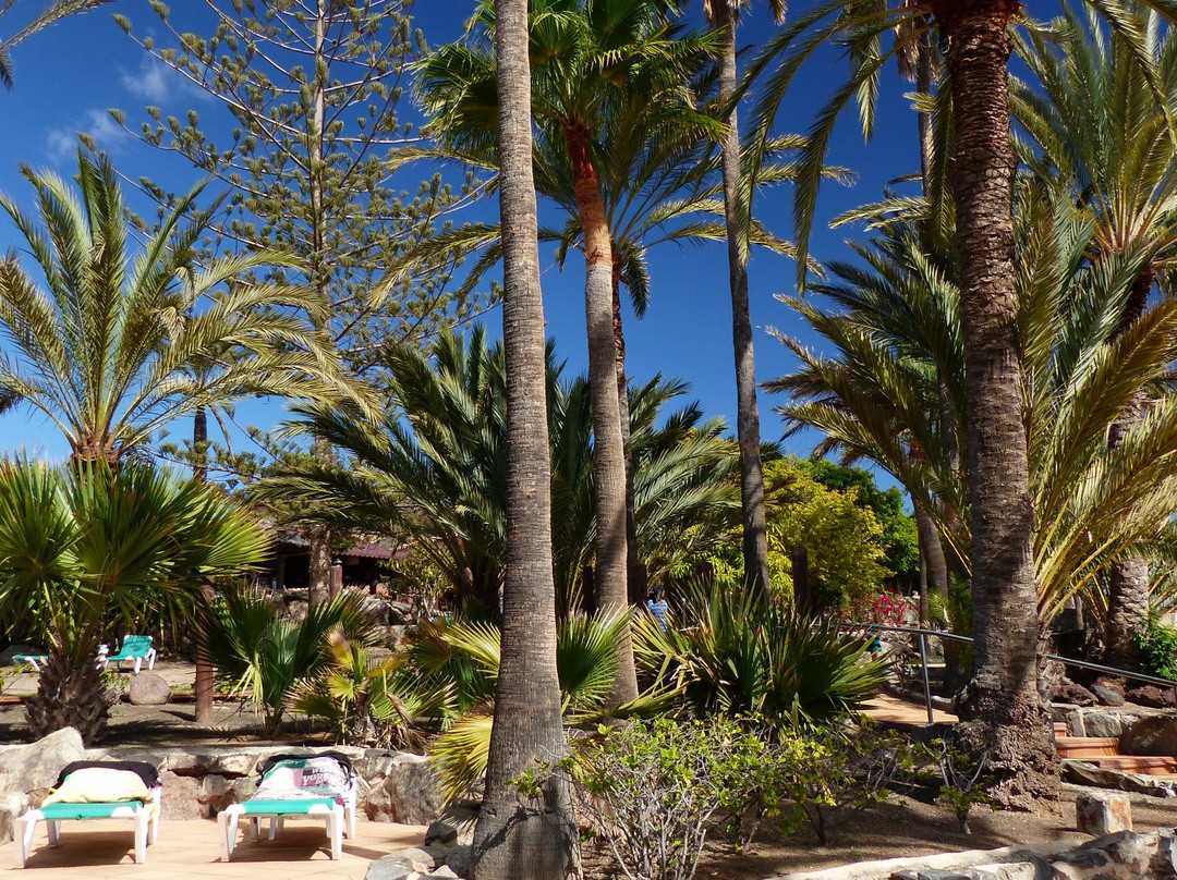 Abora Interclub Atlantic by Lopesan Hotels主图